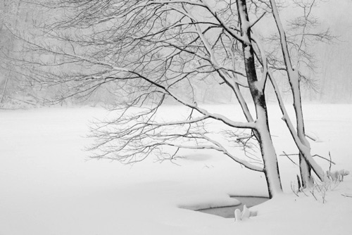 Blizzard of 2010 Sparta Mountains New Jersey Highlands (64SA).jpg